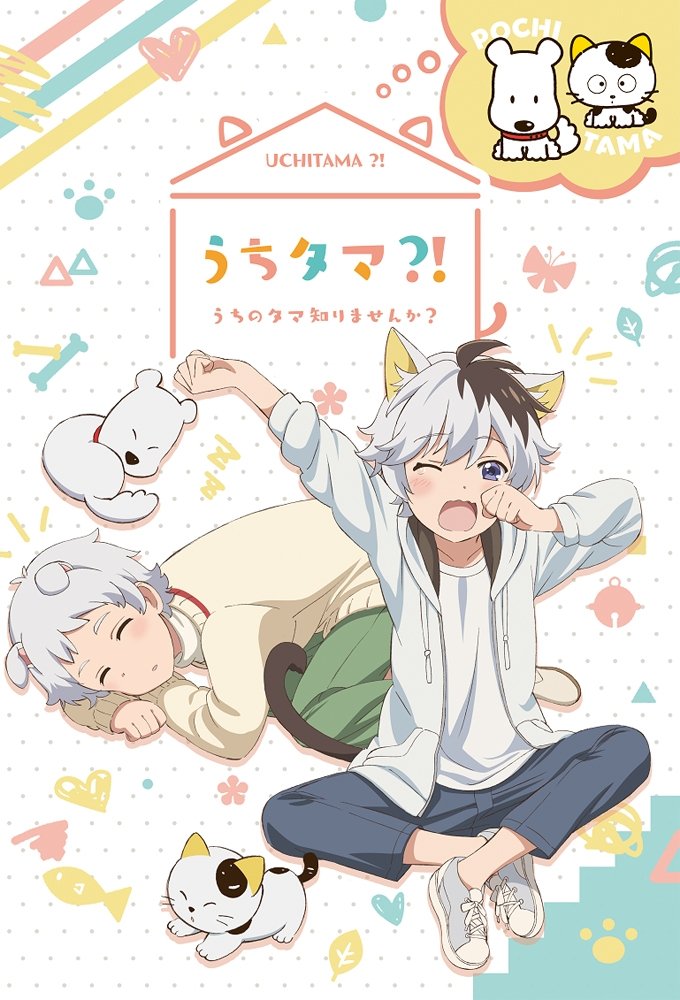 Uchitama! Have you seen my Tama