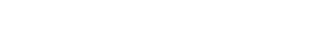 Drachenzähmen leicht gemacht