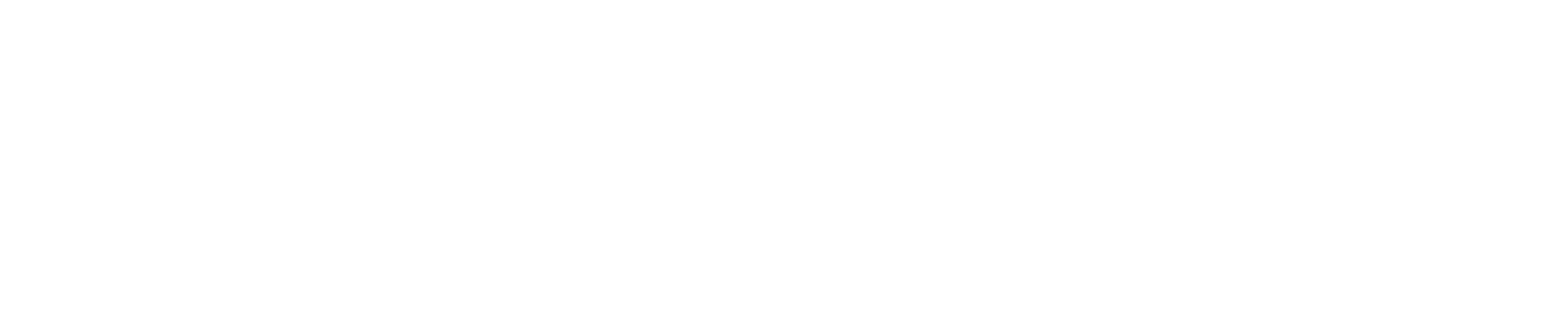 Mrs. Roosevelt und das Wunder von Earl’s Diner