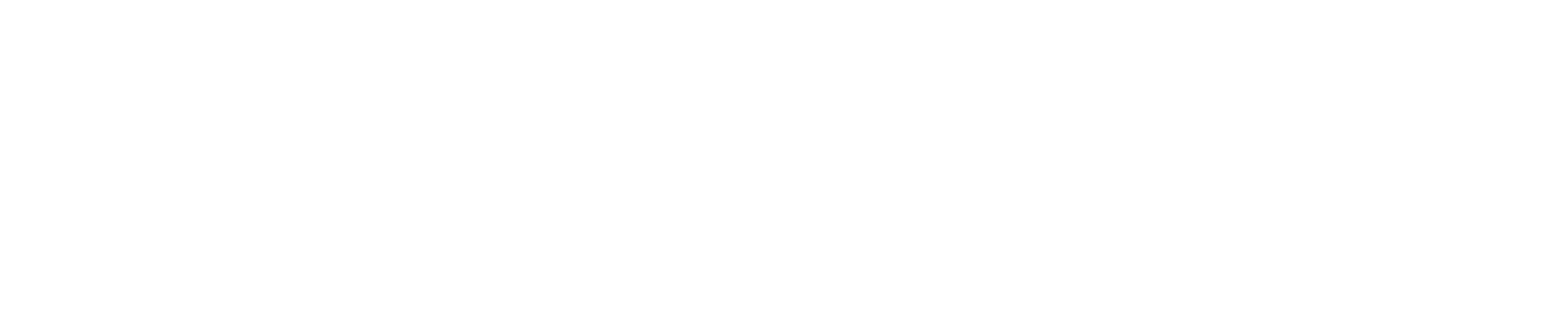Mrs. Roosevelt und das Wunder von Earl’s Diner