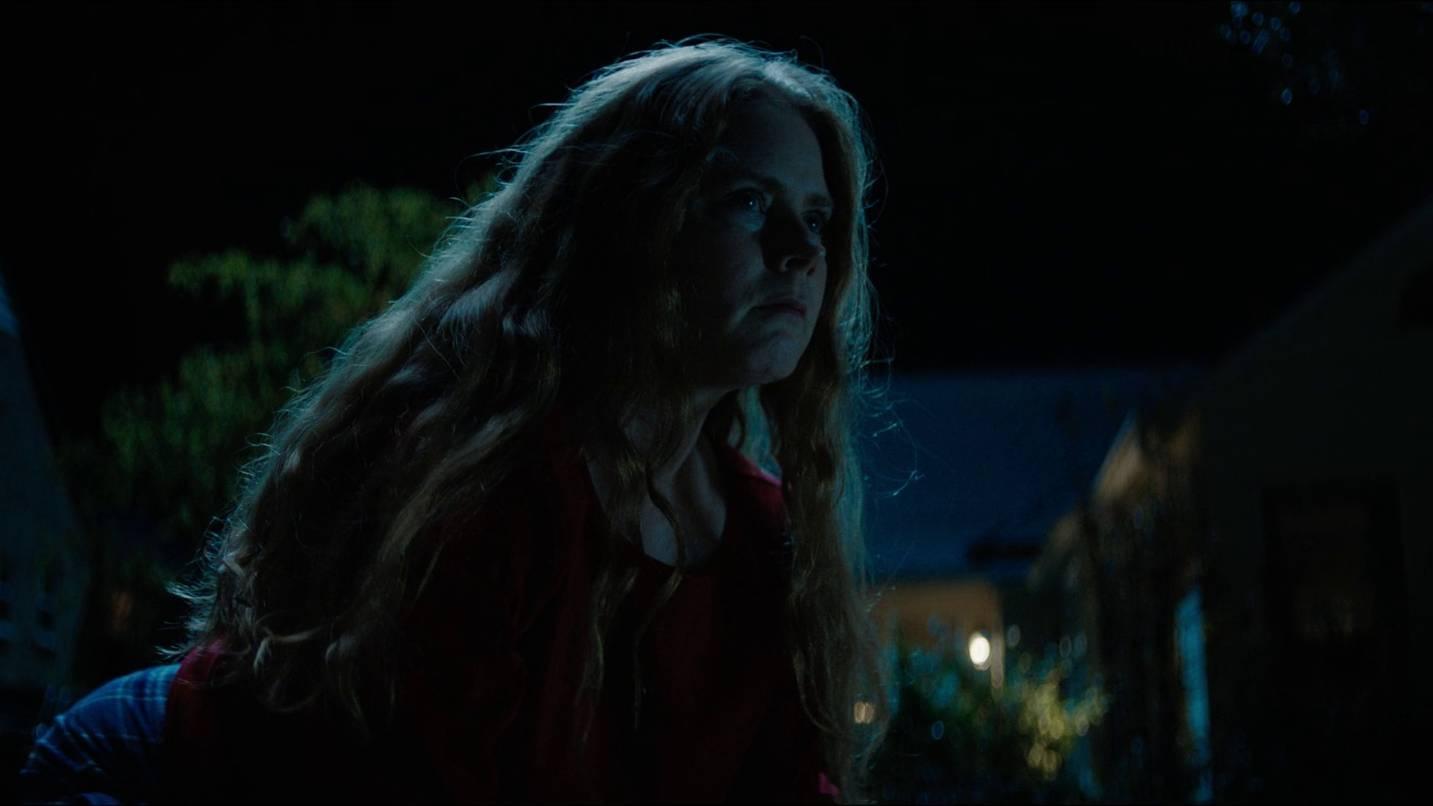 Nightbitch