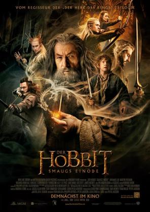 Filmbeschreibung zu Der Hobbit: Smaugs Ein?de 3D