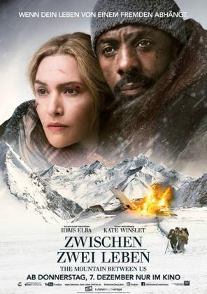 Filmbeschreibung zu The Mountain Between Us