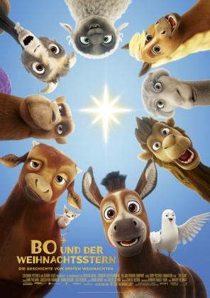 Filmbeschreibung zu The Star