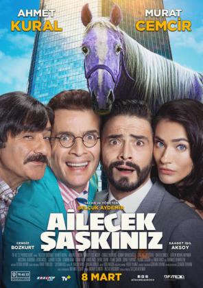 Filmbeschreibung zu Ailecek Saskiniz