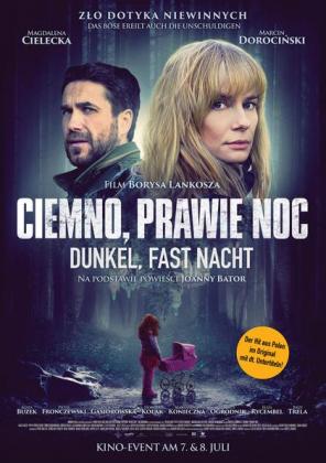 Filmbeschreibung zu Dunkel, fast Nacht