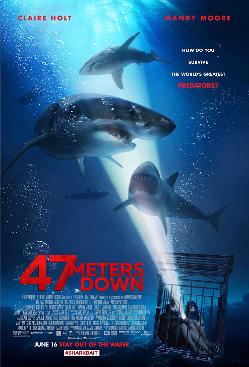 Filmbeschreibung zu 47 Meters Down