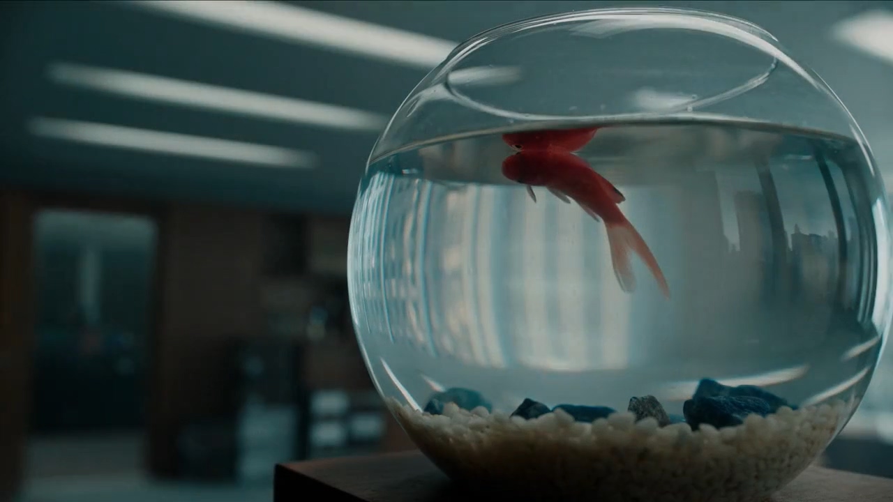A Cure for Wellness