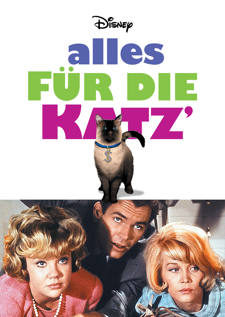 Alles für die Katz