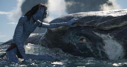 Avatar 2: The Way of Water HFR (OV)