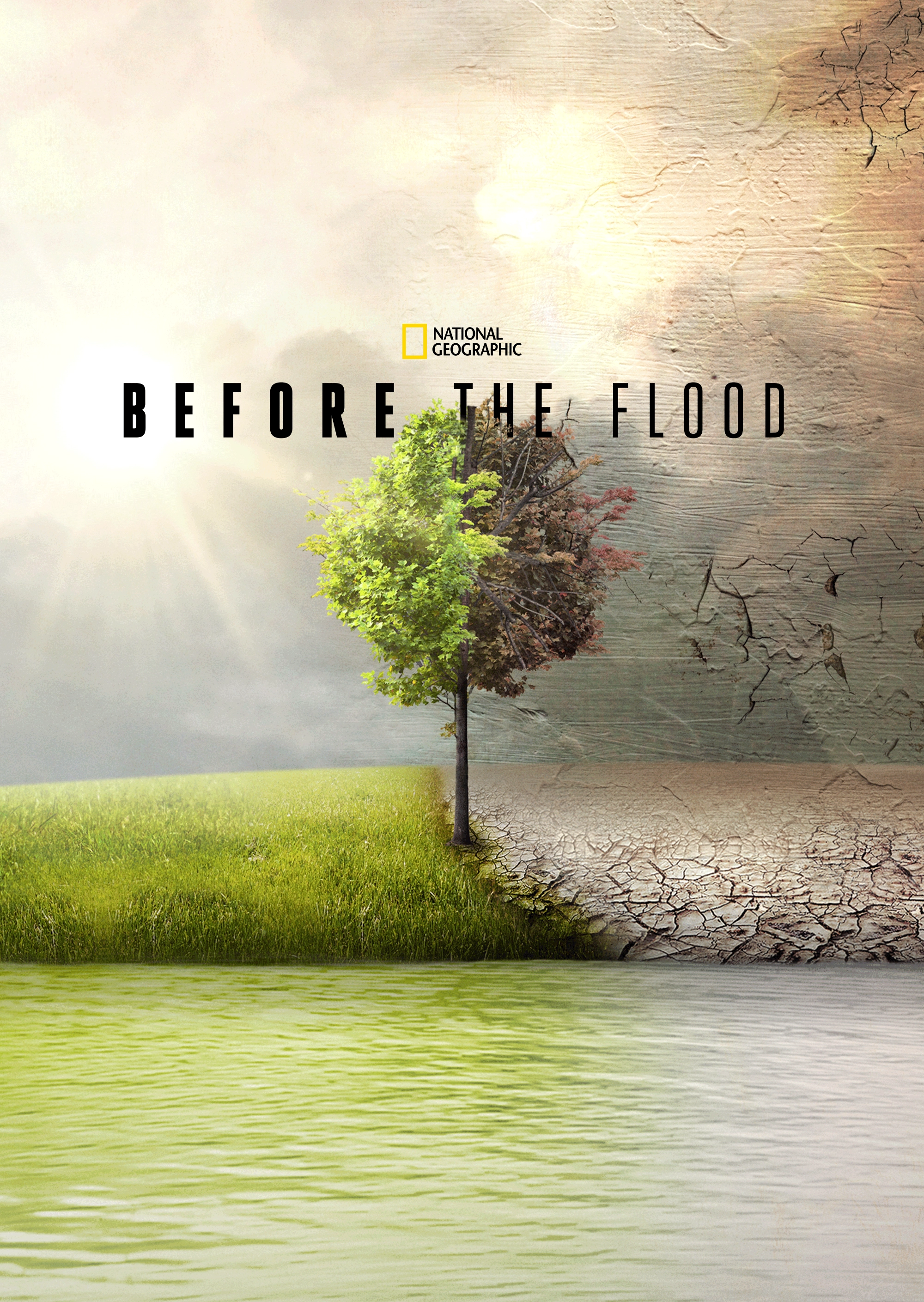 Before the Flood