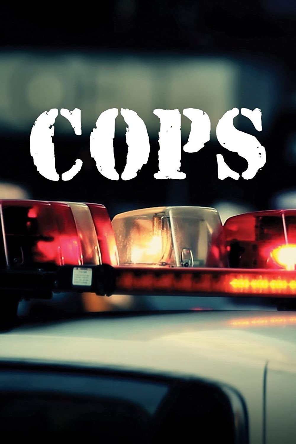 Filmbeschreibung zu Cops