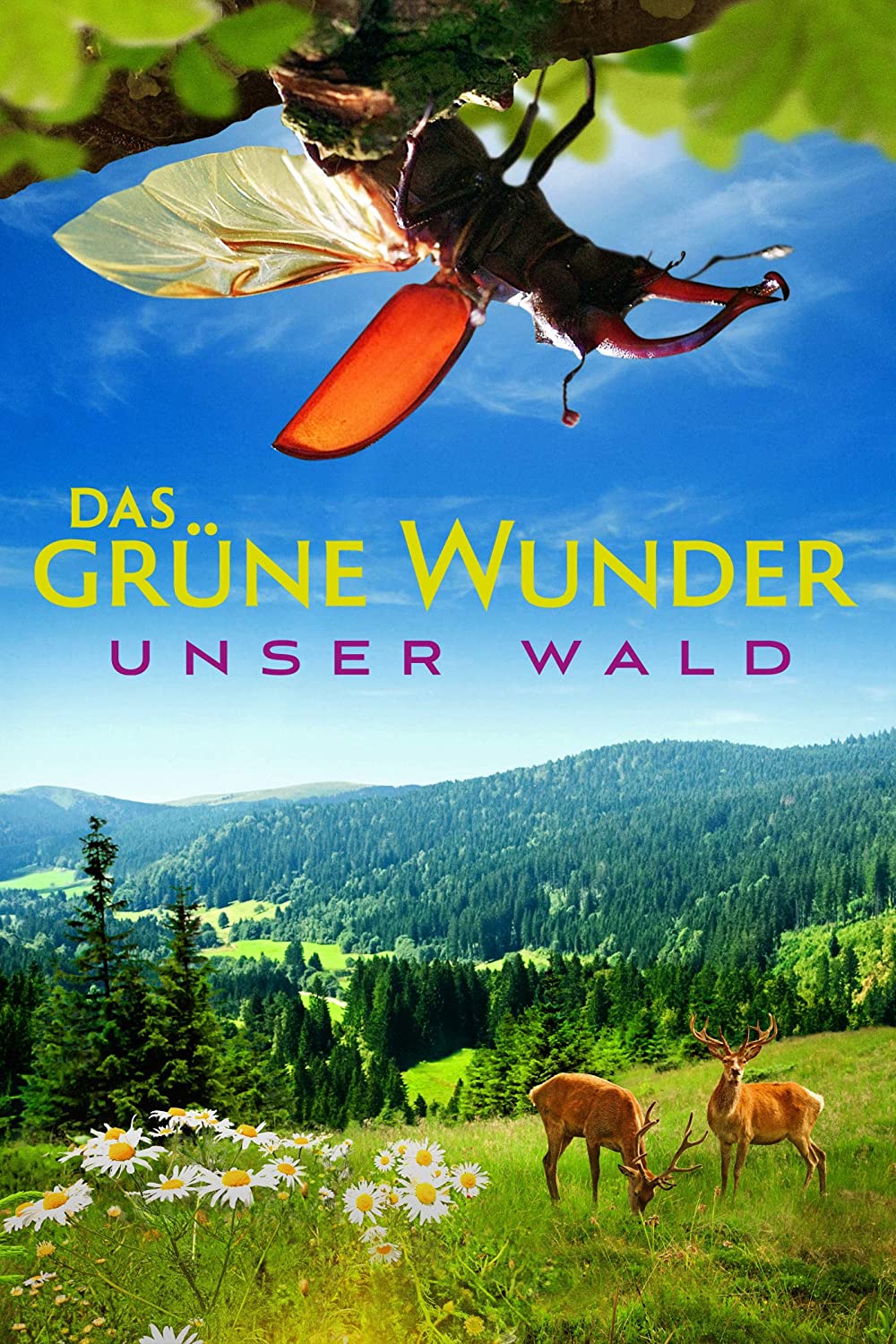 Filmbeschreibung zu Das gr?ne Wunder - Unser Wald