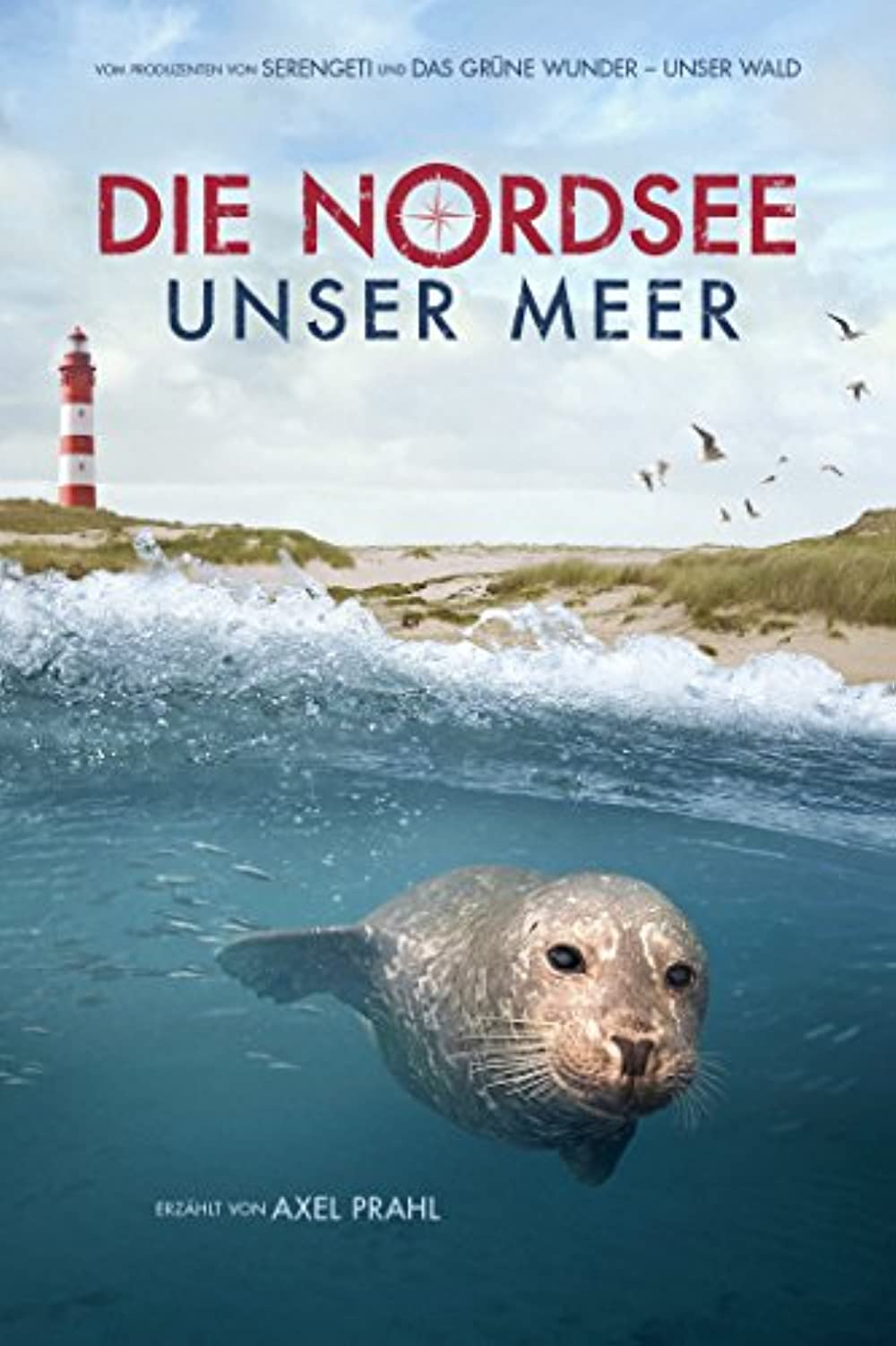 Filmbeschreibung zu Die Nordsee - Unser Meer