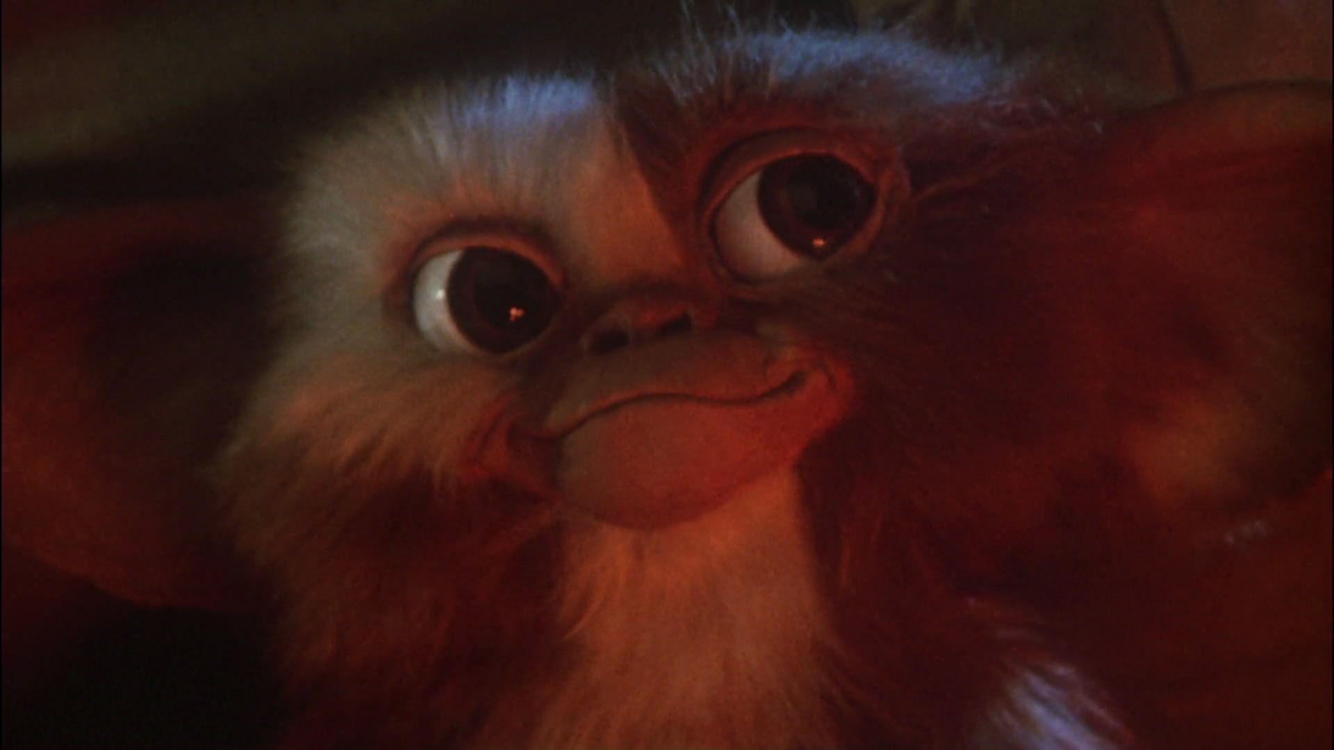 Gremlins - Kleine Monster