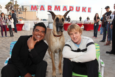 Marmaduke