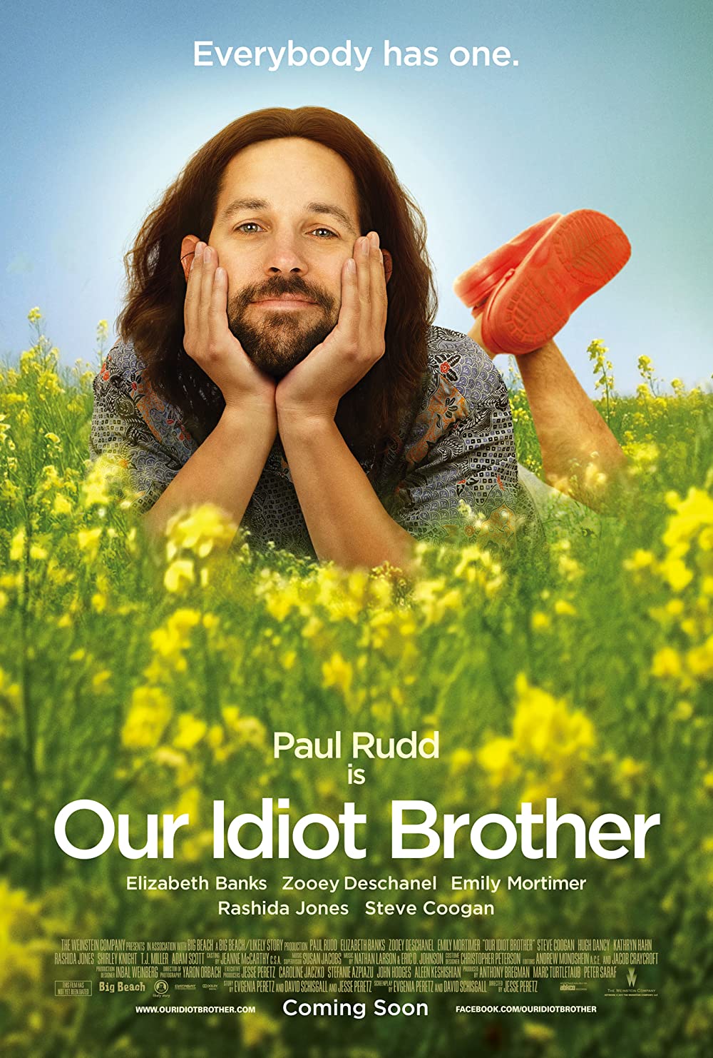 Filmbeschreibung zu Our Idiot Brother