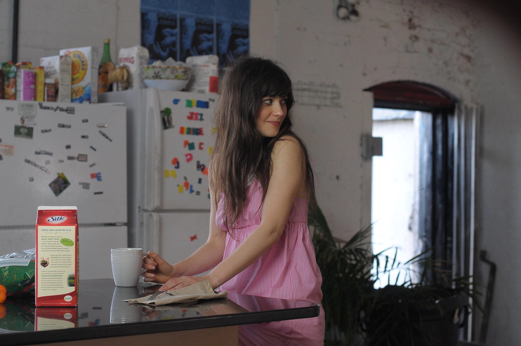 Our Idiot Brother