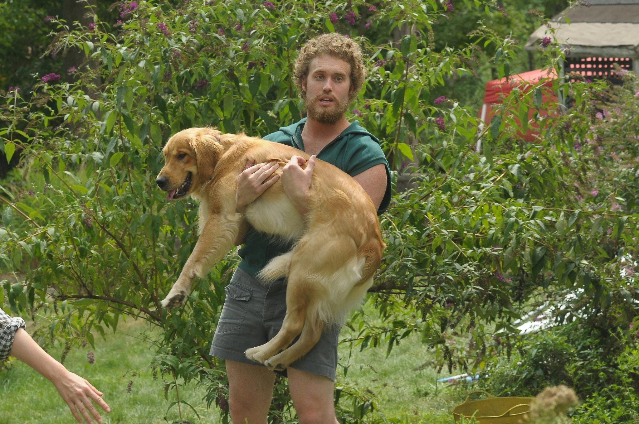 Our Idiot Brother
