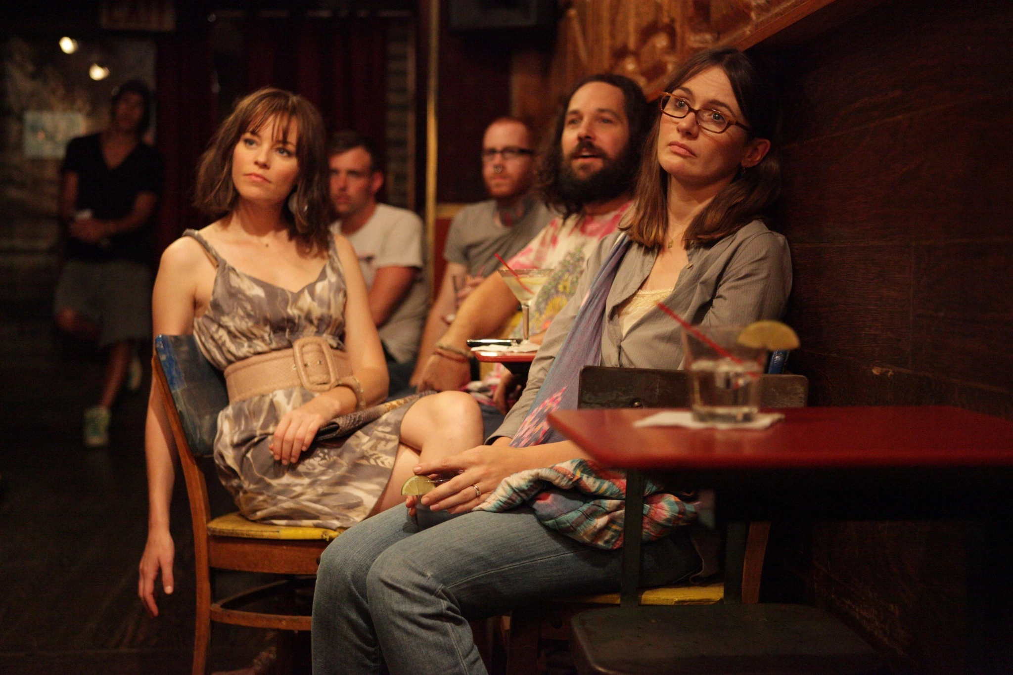 Our Idiot Brother