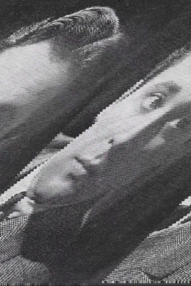 William Stelling