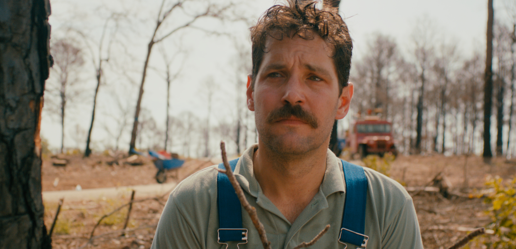 Prince Avalanche