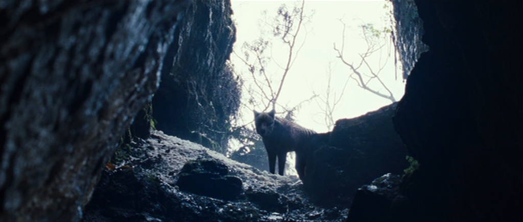 The Hunter