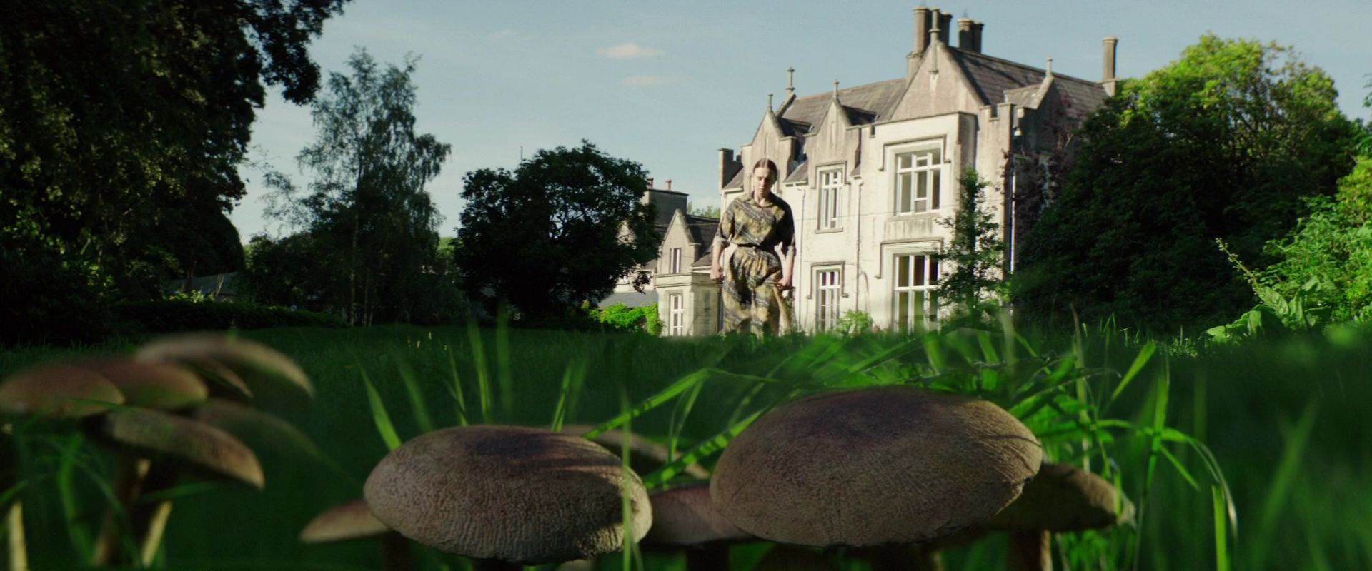 We Have Always Lived in the Castle
